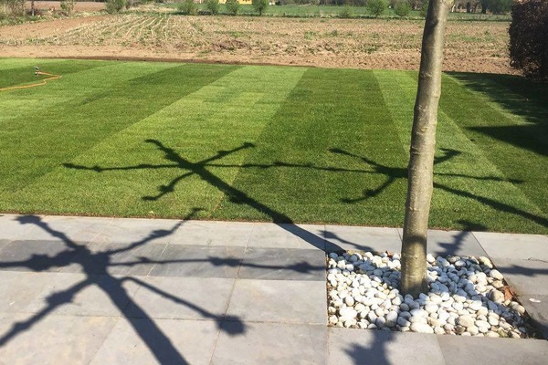 Terrassen en tuinpaden